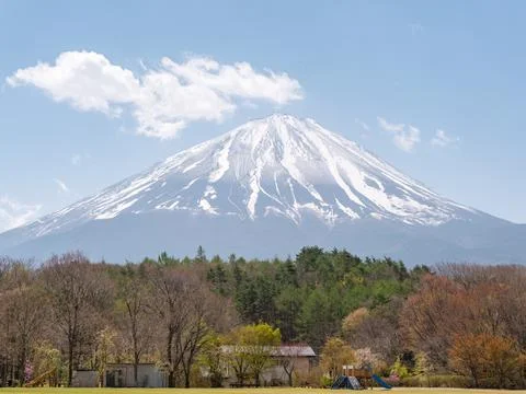 Fuji mountain and tree at the foreground in spring, Japan. Stock Photos