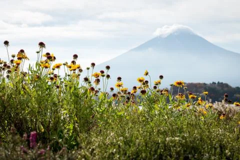 Fuji mountain Stock Photos