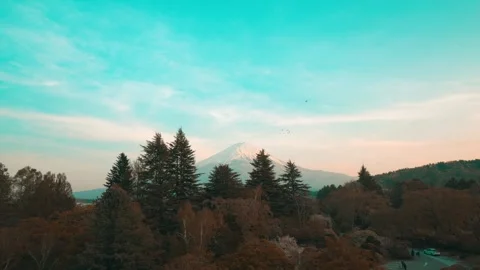 A Fuji mountain with snow on it is in the background of a clear blue sky Stock Footage 313416715