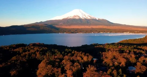Fuji Sunrise - Fall Trees 스톡 동영상 102213773