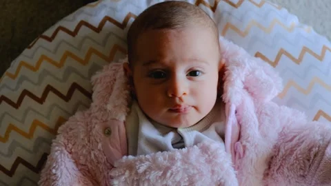 FUJI2735 Stock Footage 281023119