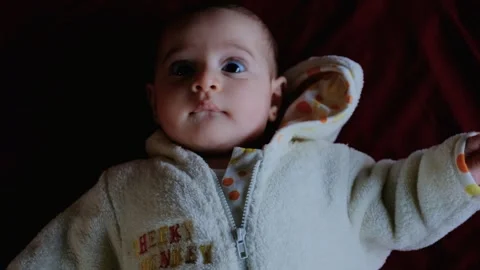 FUJI2997 Stock Footage 281023126