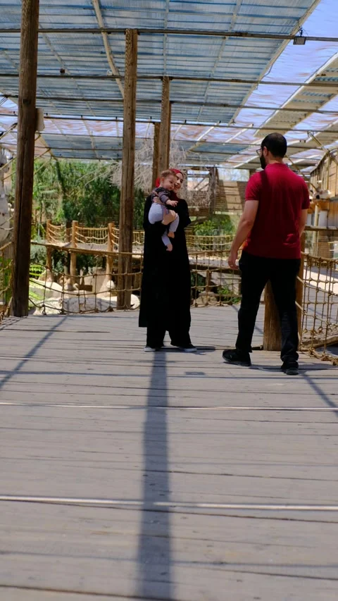 FUJI6017 Stock Footage 281021415