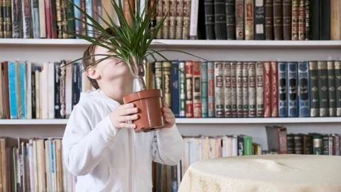 FUJI6527 Stock Footage 281023154