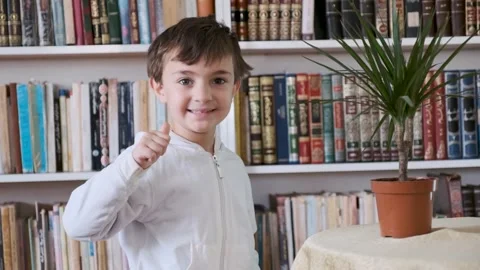 FUJI6531 Stock Footage 281023173