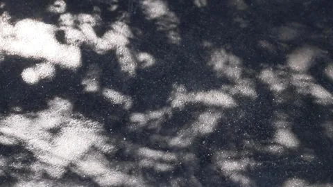 Fukien tea tree shadows reflected on a concrete floor Stock Footage 147322236