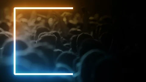 Ful box 28 Stock Footage 112778067