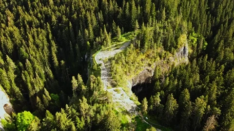 Full 360 Orbit Natural Cavern Forest Rock Formation Alien Rare Erosion Stone Stock Footage 289576588