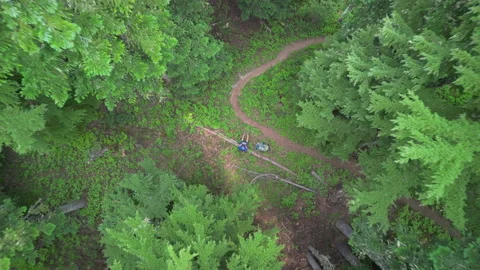 Full Aerial Ascent of Straight-Down View of Hiker on Log to Reveal Forest 库存影片 224768097