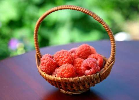 Full basket of red raspberries on the table Stock Photos