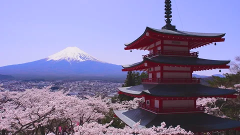 Full Bloom Cherry Blossoms and the Chureito Pagoda at Fujisan Asama Shrine Vídeos de archivo 330665751