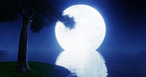 Full blue moon In the night sky there are stars in the sky. Vídeo Stock 208436733