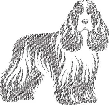 Full Body American Cocker Spaniel Scribble Style Illustration Stock Illustration