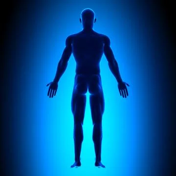 Full Body - Back View - Blue concept 스톡 일러스트