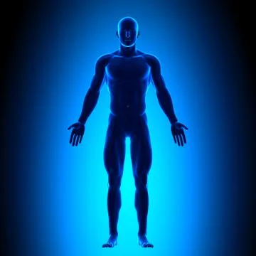 Full Body - Front View - Blue concept Stock-Illustration