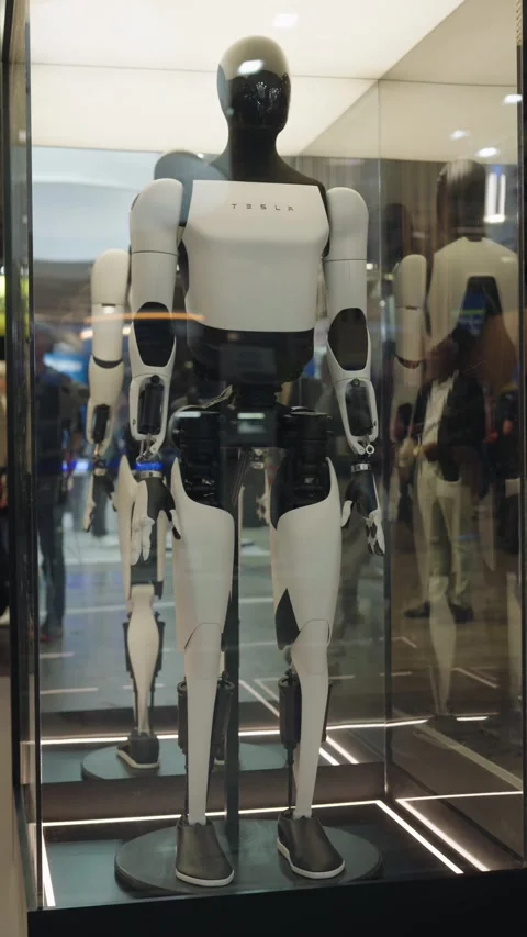 Full-body view of the Tesla Optimus humanoid robot displayed inside a glass Stock Footage 348407904