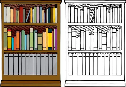 A Full Bookshelf Stock Illustration