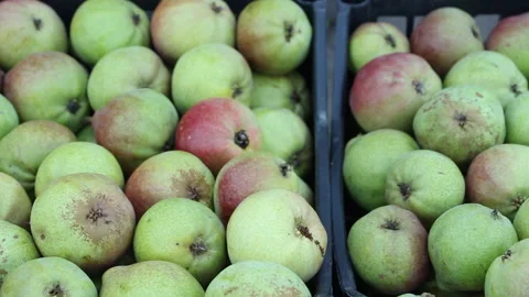 Full boxes with pears. sales and shops Stock Footage 265199788