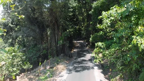 Full Bus Driving in the Jungle 스톡 동영상 112074363