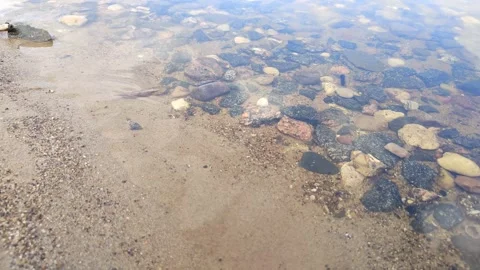 Full calm and light surf close-up. Clear water near sandy shore with small 스톡 동영상 309315367