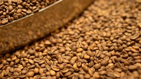 Full of coffee beans coffee roasting machine hull, closeup Stock Footage 170696857