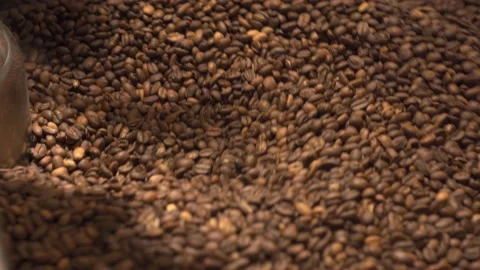 Full of coffee beans coffee roasting machine hull, closeup Stock Footage 170696872