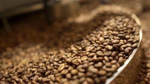 Full of coffee beans coffee roasting machine hull, closeup Vídeos de archivo 170696879