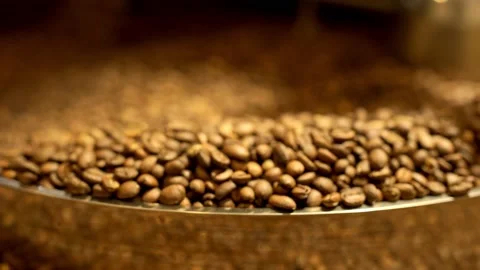 Full of coffee beans coffee roasting machine hull, closeup Stock Footage 170696883