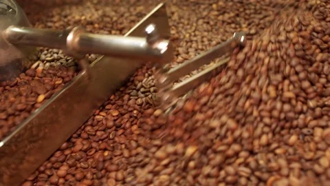 Full of coffee beans coffee roasting machine hull, closeup Stock Footage 170697351