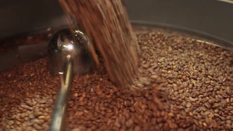 Full of coffee beans coffee roasting machine hull, closeup Stock Footage 170697353