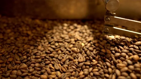 Full of coffee beans coffee roasting machine hull, closeup Stock Footage 170697492
