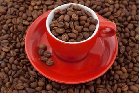 Full of coffee Stock Photos