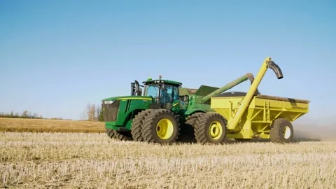 A full combine offloading Canola to a grain buggy during harvest: Legal, Alberta Stock Footage 163180817