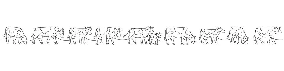 Full cow herd in a row. Continuous line illustration of rural farming life Stock Illustration