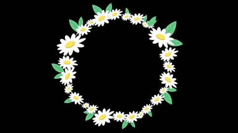 FULL DAISY LEAVES FRAME Stock Footage 242339350