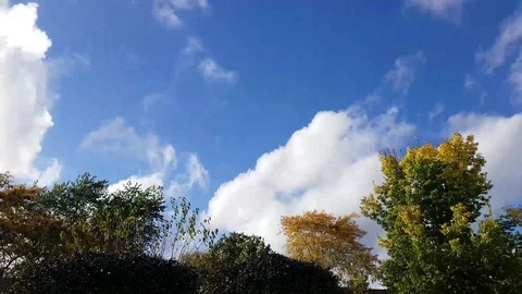 Full day 4 Stock Footage 96549173