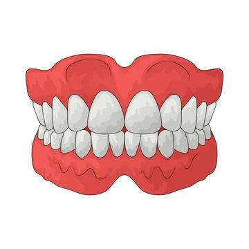 Full Denture illustration Stock Illustration
