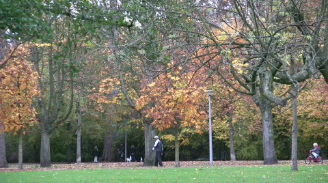 Full fall colors in public park. Stock Footage 108267