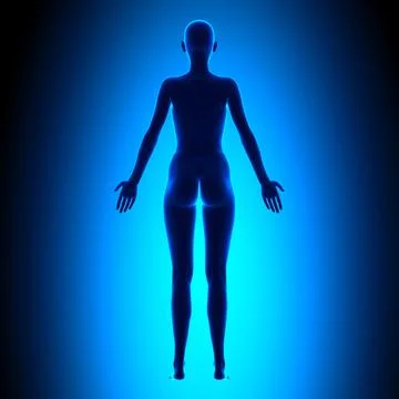 Full female body - back view - blue concept 스톡 일러스트