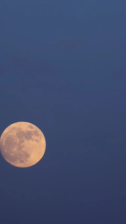 Full Flower Moon rises in a deep blue May sky, Stock Footage 309205227
