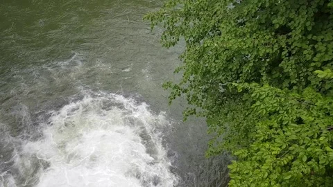 A full-flowing mountain river on the background of a beautiful green tree Stock-Footage 300381771