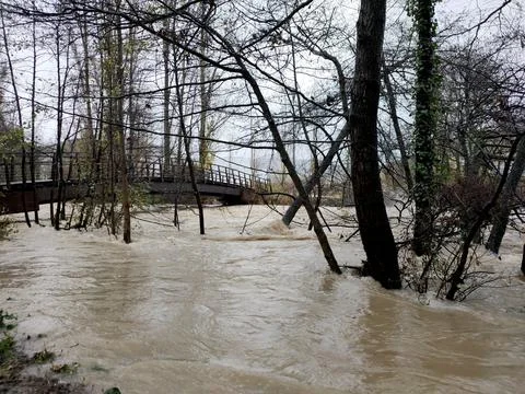Full-flowing river between trees autumn. Stock Photos