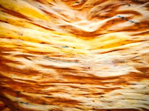 Full Frame Abstract Background of Dry Banana Leaf Texture Stock Photos
