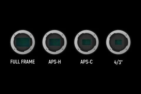 Full frame and crop image sensor set. イラスト素材