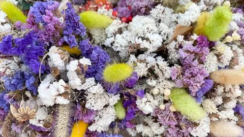 Full frame background of colorful dried Limonium flowers and Lagurus grass .. Stock Photos