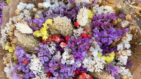 Full frame background of colorful dried Limonium flowers and Lagurus grass .. Stock Photos