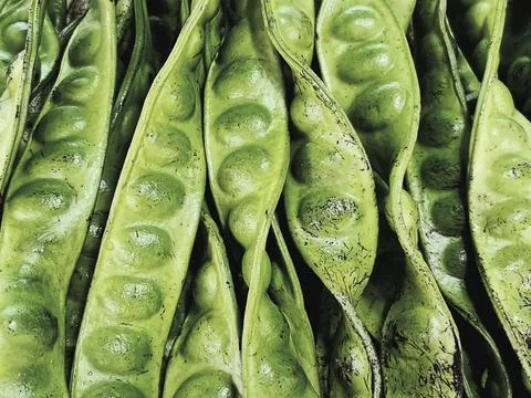 Full Frame Background of Fresh Green Stink Beans Foto stock