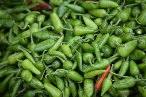 Full frame background of fresh green chili peppers at a market stall. Stock Photos