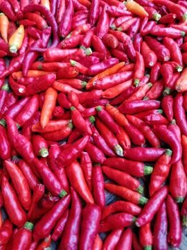 Full frame background of fresh harvested red chili peppers Stock Photos