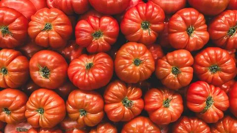 Full frame background of fresh red ribbed beefsteak tomatoes on display at .. Stock-Fotos